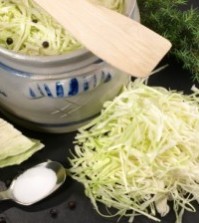 alimente-fermentate