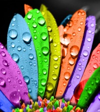 terapie prin culoare