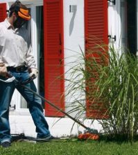 cea mai buna motocoasa