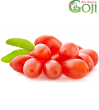 Proprietatile fructului Goji