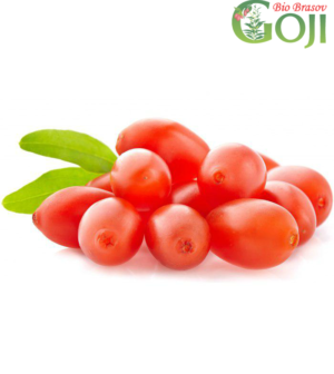 Proprietatile fructului Goji