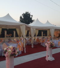 Decoratiuni florale speciale pentru nunta