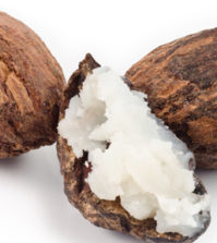 Unt de shea, miere, ulei de masline - secretele frumusetii