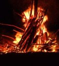 foc